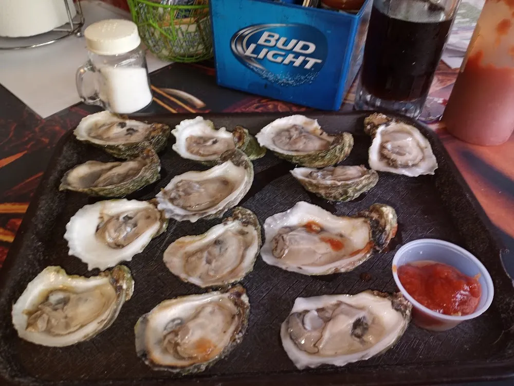 Oysters on the Half-Shell